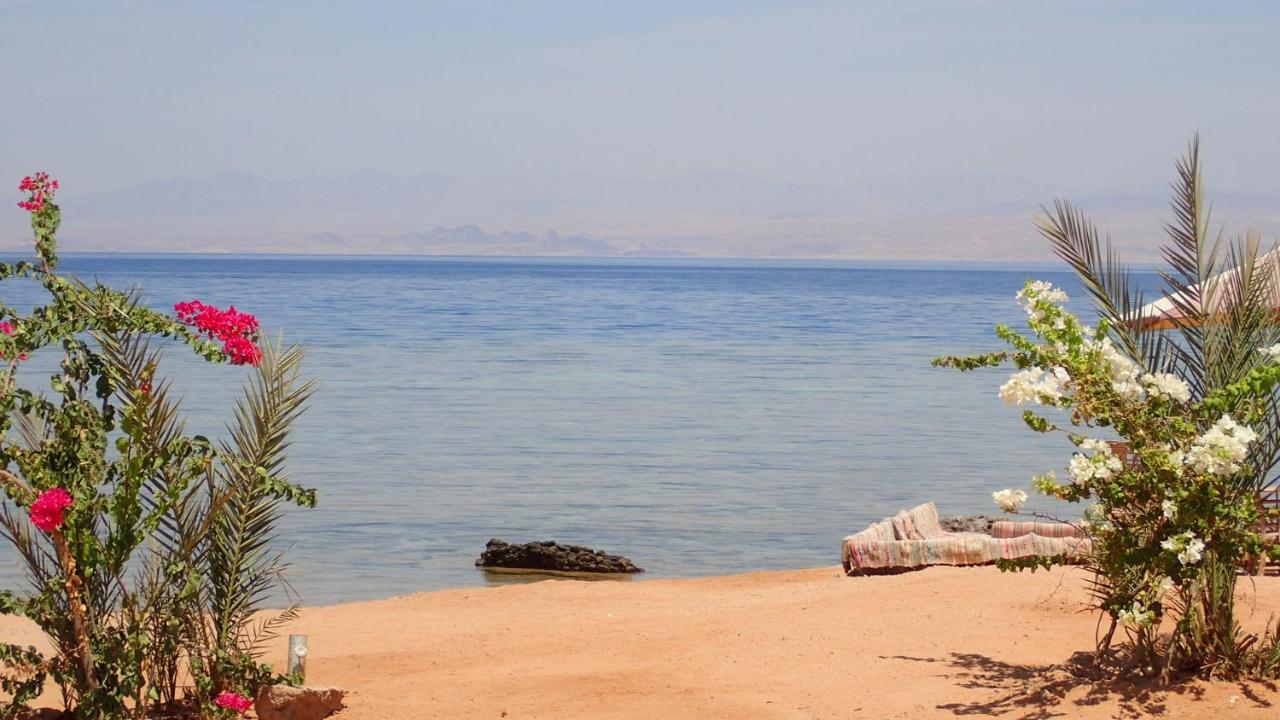 Bedouin Star Hotel Taba Exterior foto