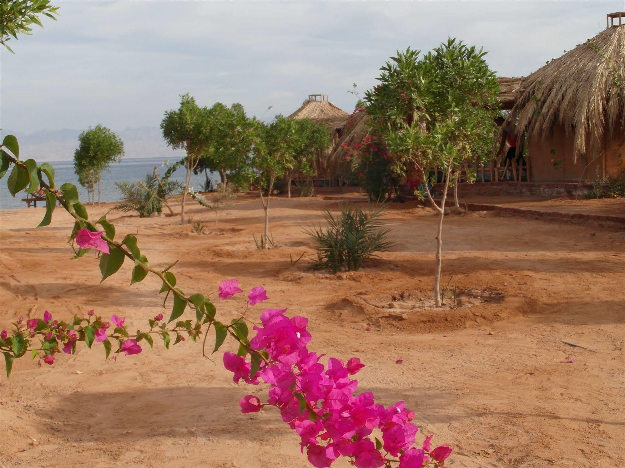 Bedouin Star Hotel Taba Exterior foto